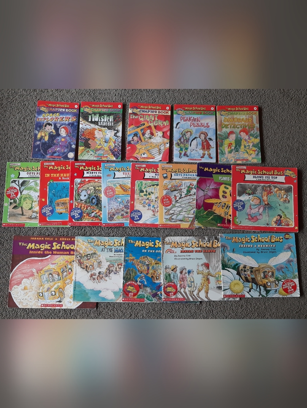 Magic School Bus Book Lot